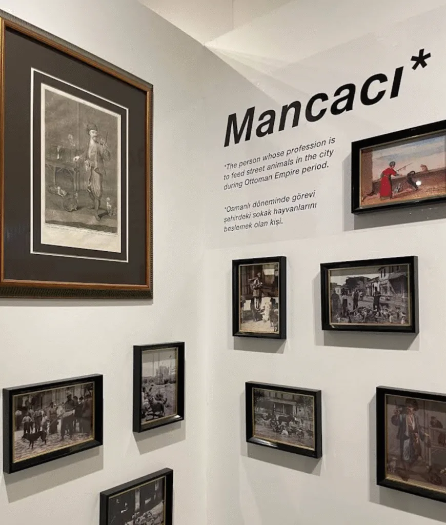 Mancacı, Öykü Acarel. Kaynak: Google Maps