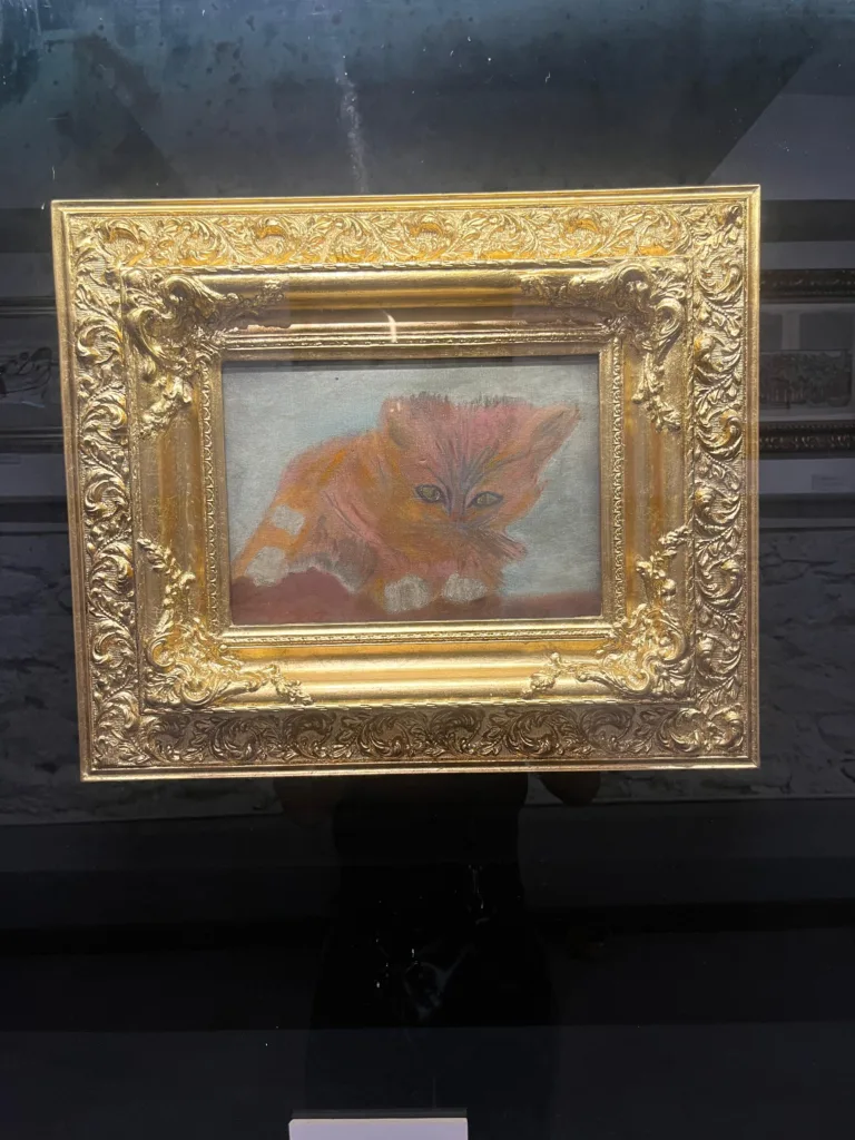 İstanbul Kedi Müzesi. Fotoğraf: Şule Yılmaz / Siyah Dergi