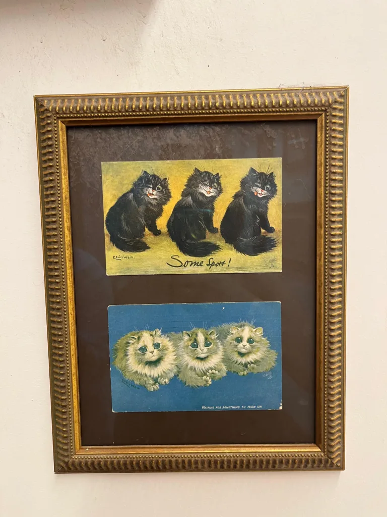 İstanbul Kedi Müzesi. Fotoğraf: Şule Yılmaz / Siyah Dergi