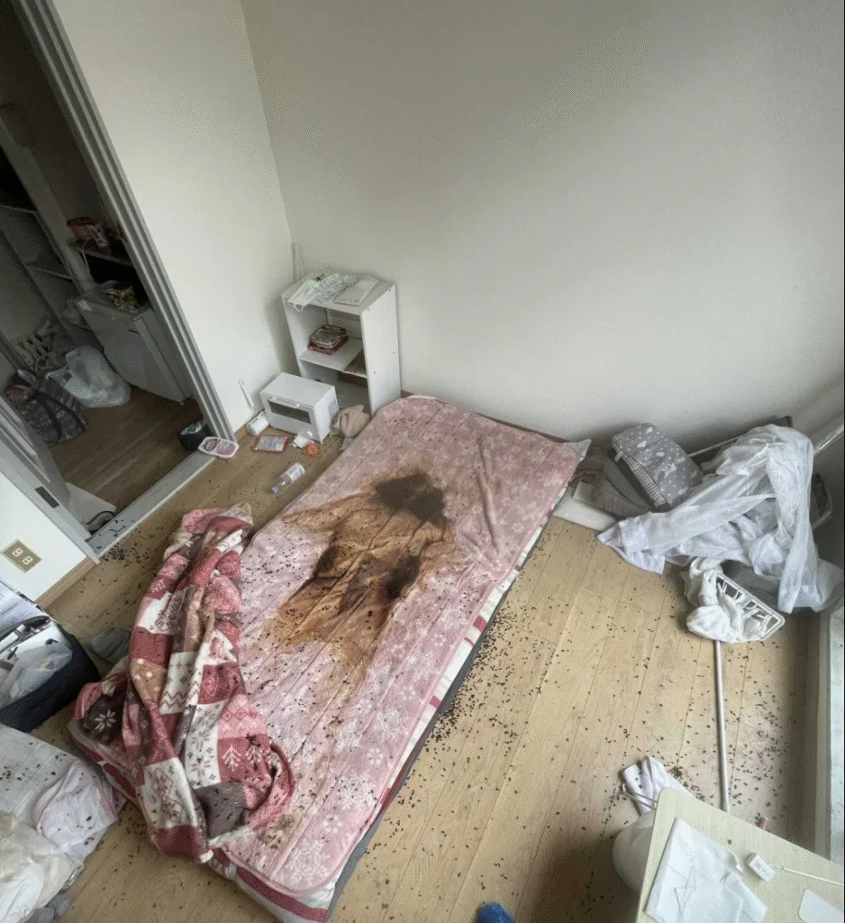 Kodokushi (孤独死)