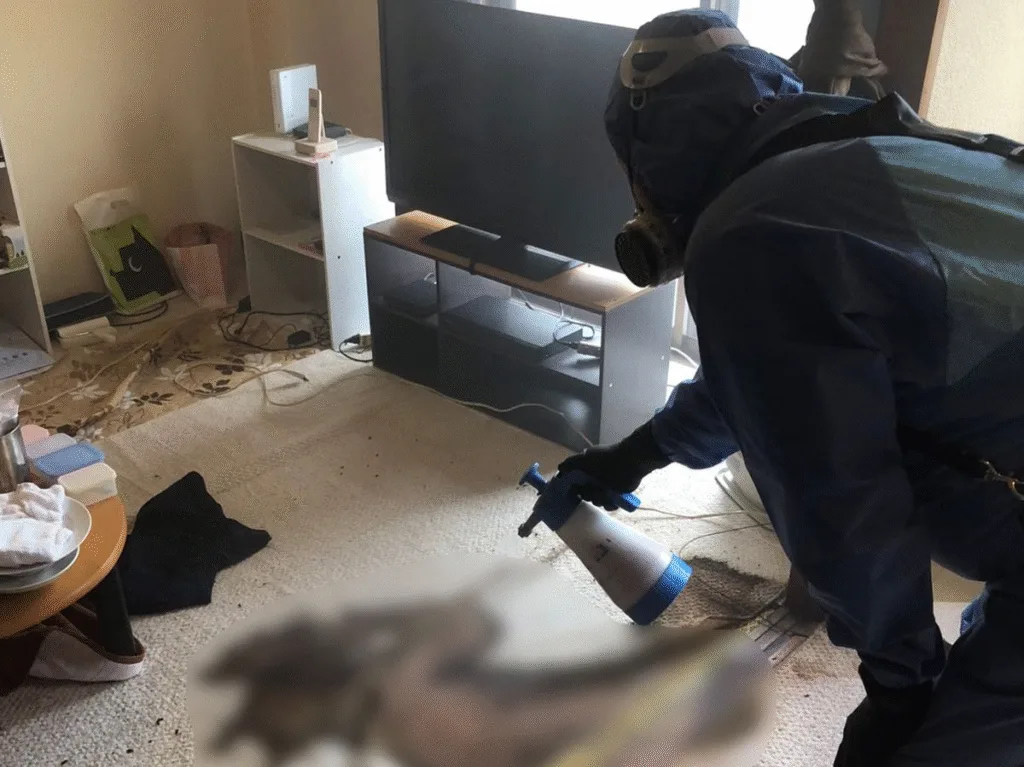 Kodokushi (孤独死)